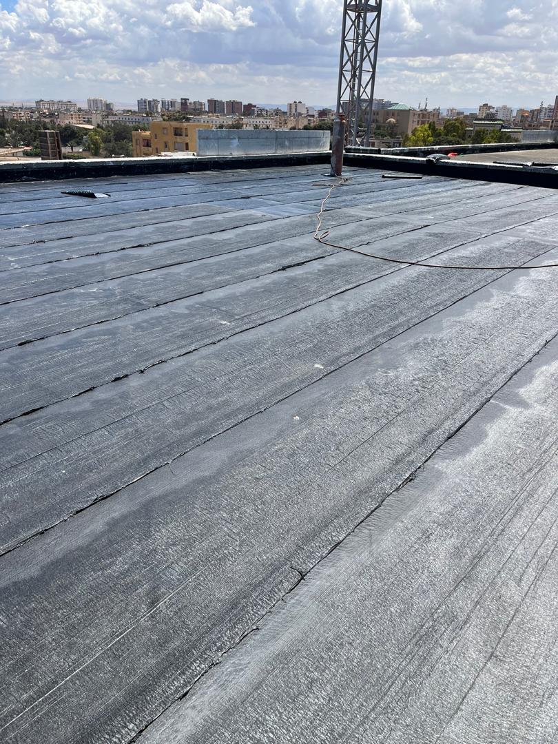 Réfection d'étanchéité avec membrane de finition - ZE-ETANCHEITE Oran